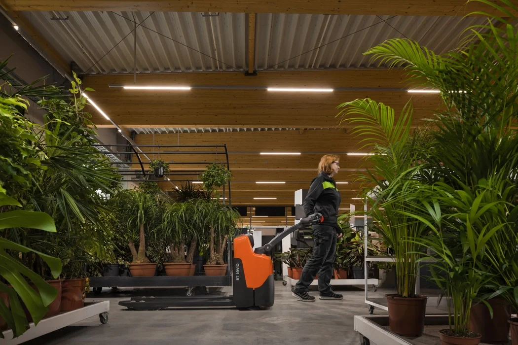 BT Levio LWI160 powered pallet truck, electric walkie low-lifter. Application photo in greenhouse environment. 