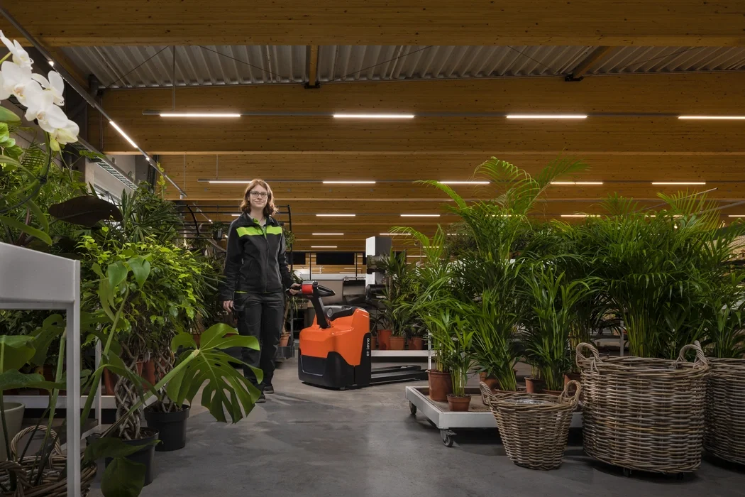 BT Levio LWI160 powered pallet truck, electric walkie low-lifter. Application photo in greenhouse environment. 